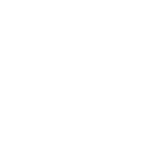 Logo entreprise Maravisuels blanc